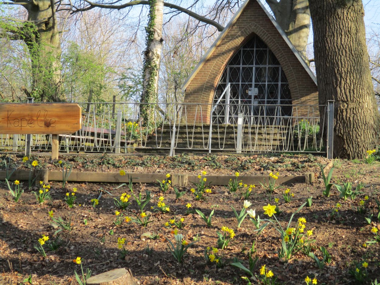 fatima1.JPG_1280554148