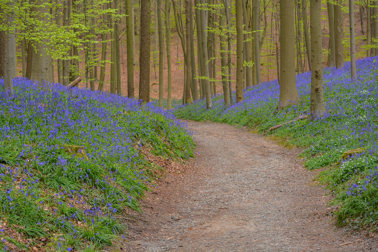 230818-away-5039972_1280