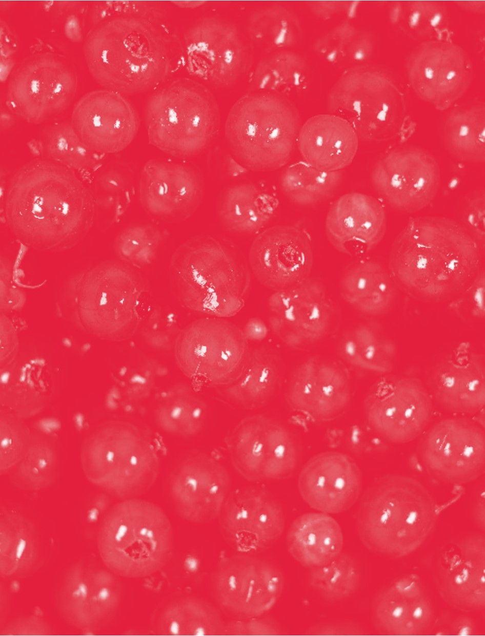 Segenswunsch Juni 2024