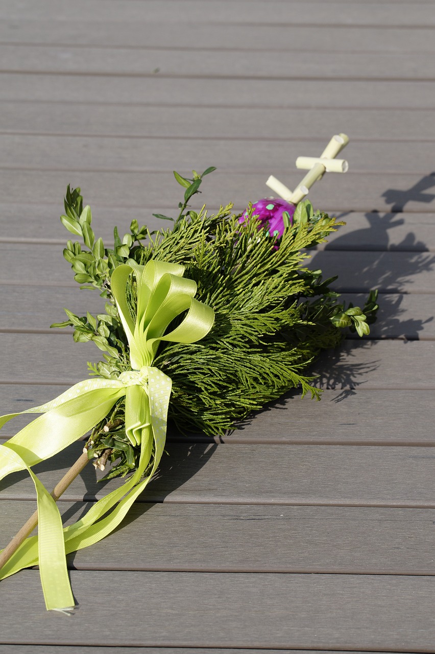 palm-trees-322232_1280