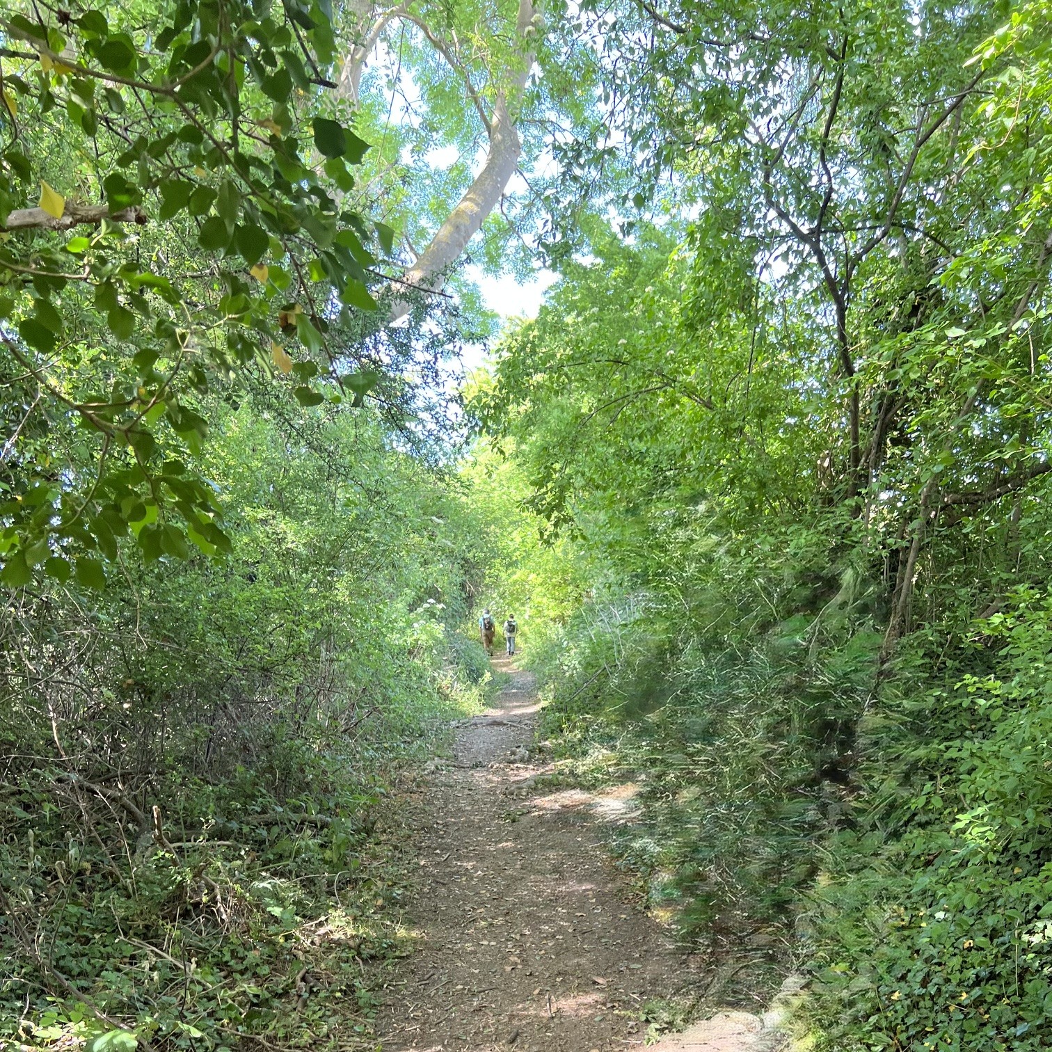 Wanderung