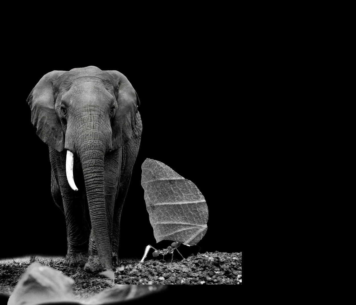 Montage_pexels-bisakha-datta-7206977_L Kopie