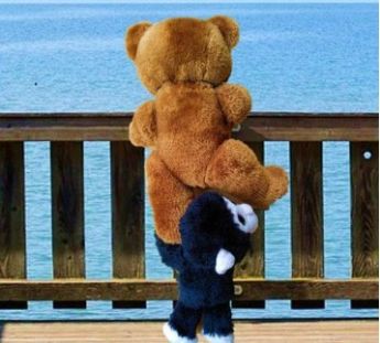 Gemeinsam sind wir stark