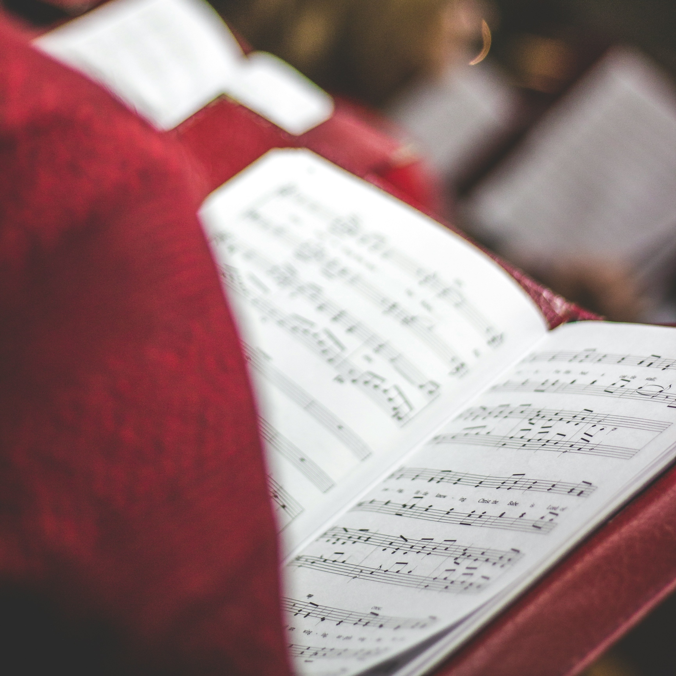 david-beale-rU4kvQKjG2o-unsplash
