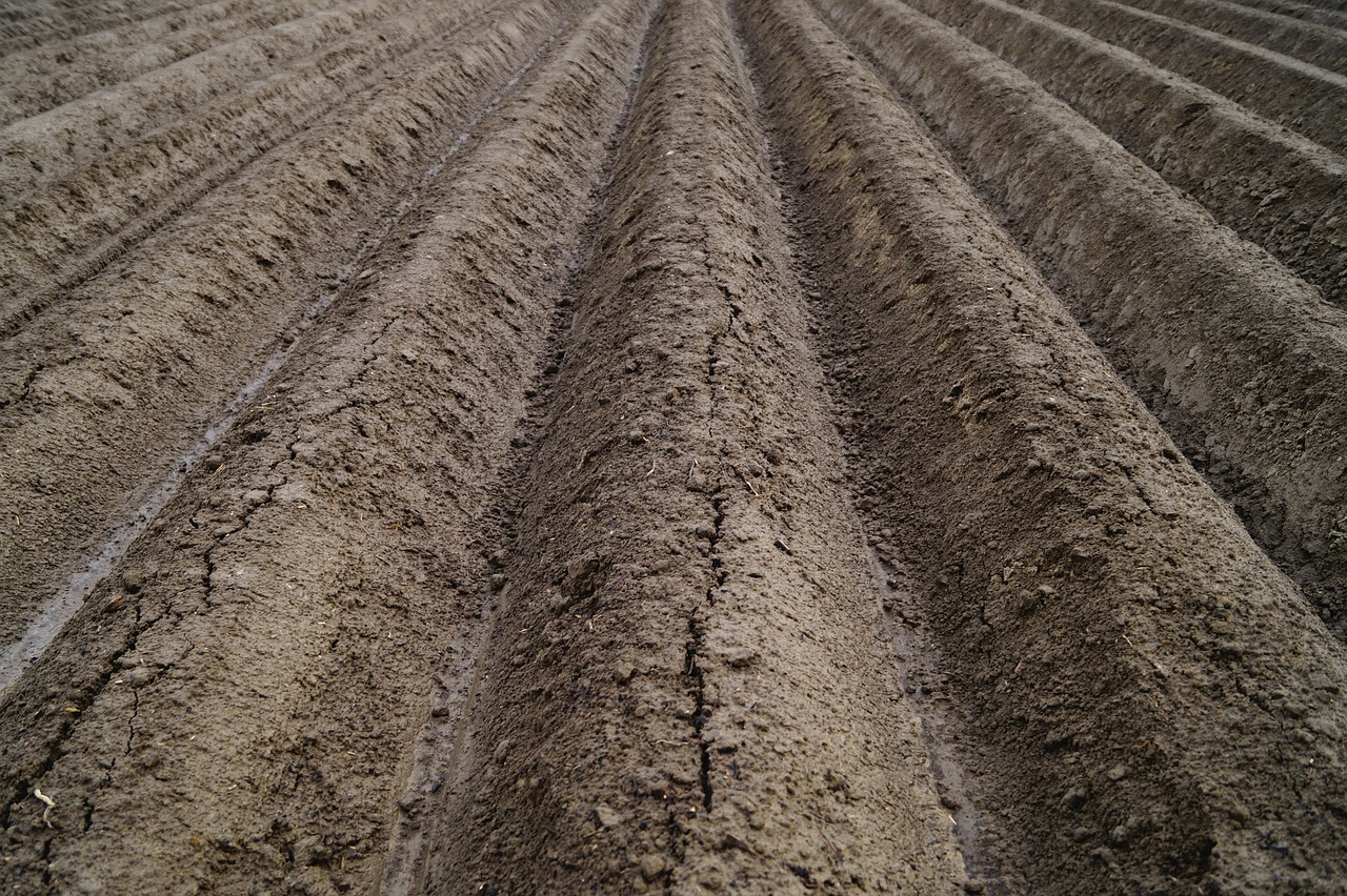 Ackerfurchen