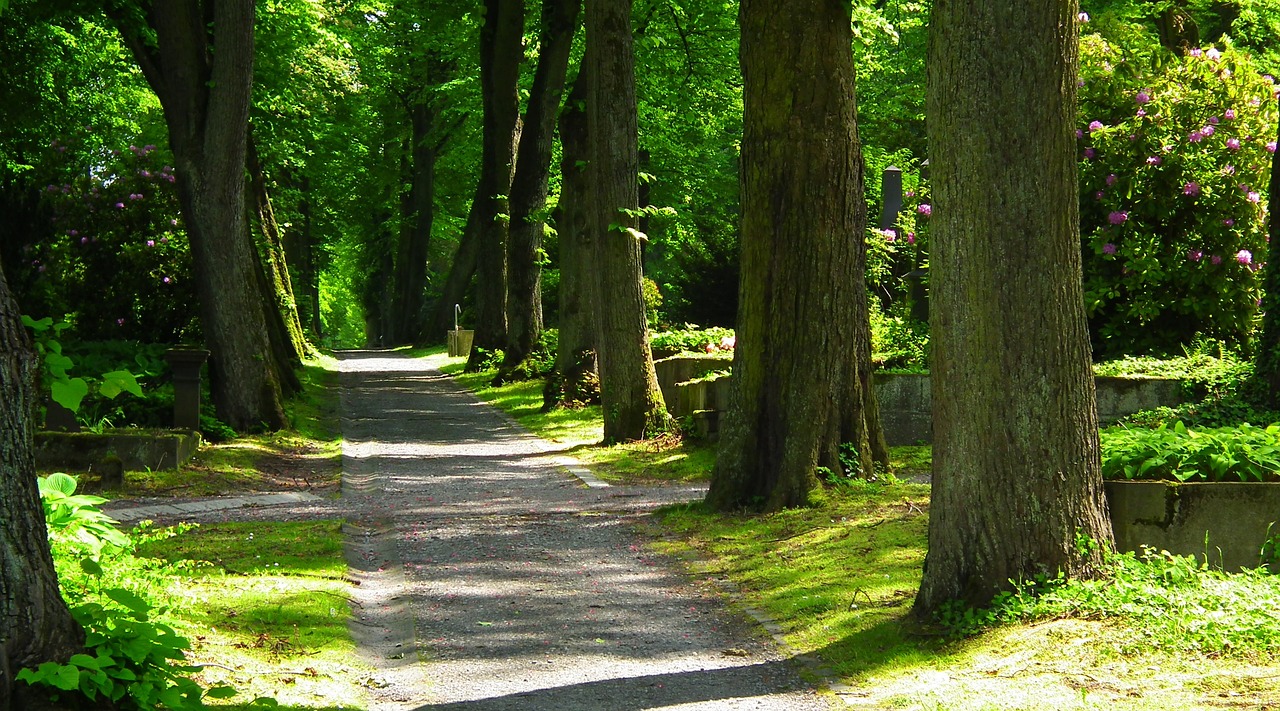 230915-quiet-1662357_1280