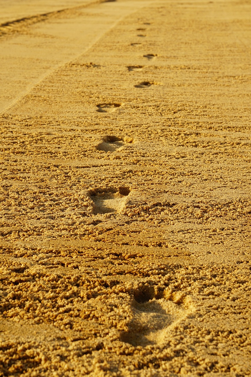 260125-footprints