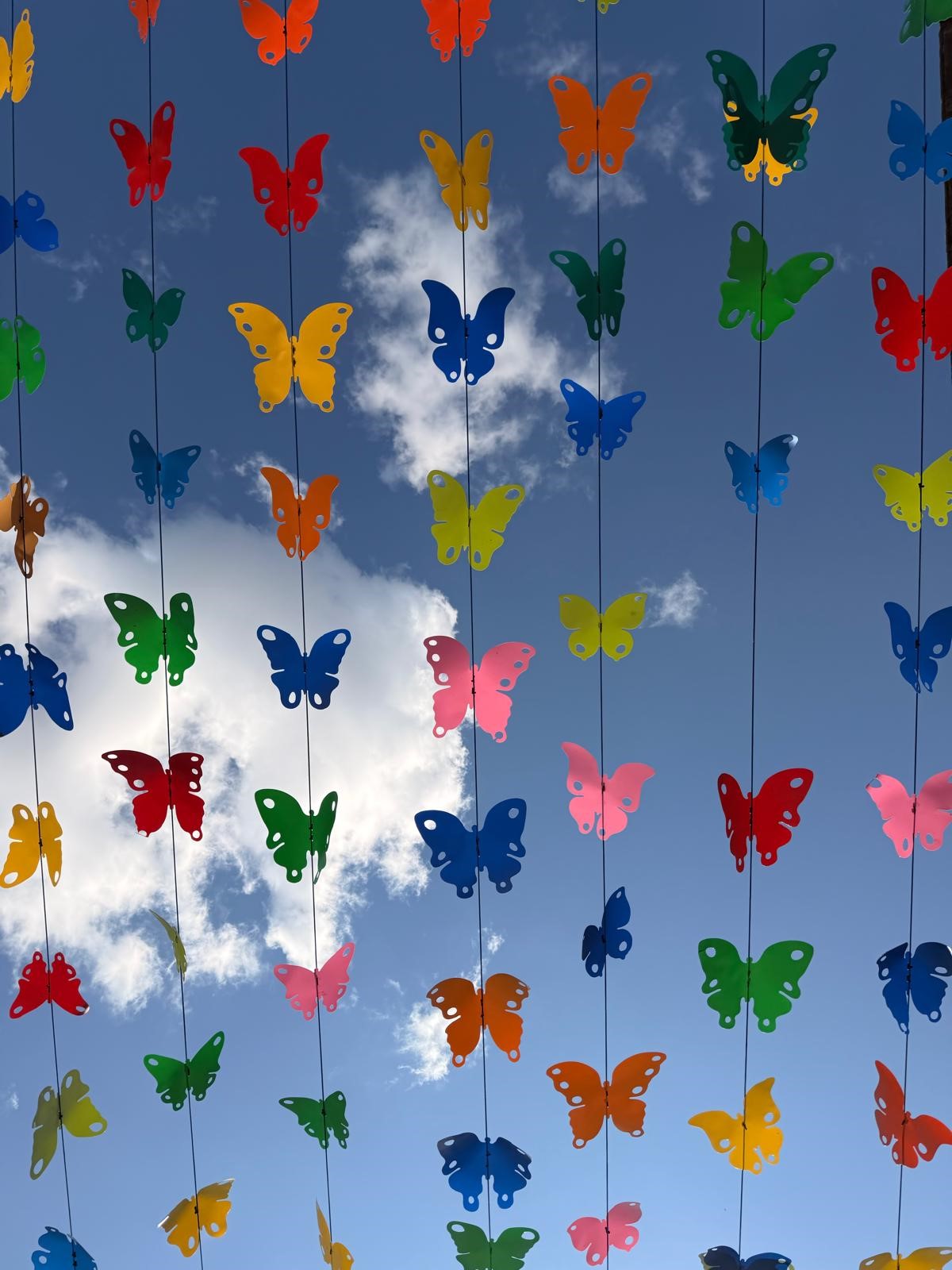 260412-Schmetterlinge