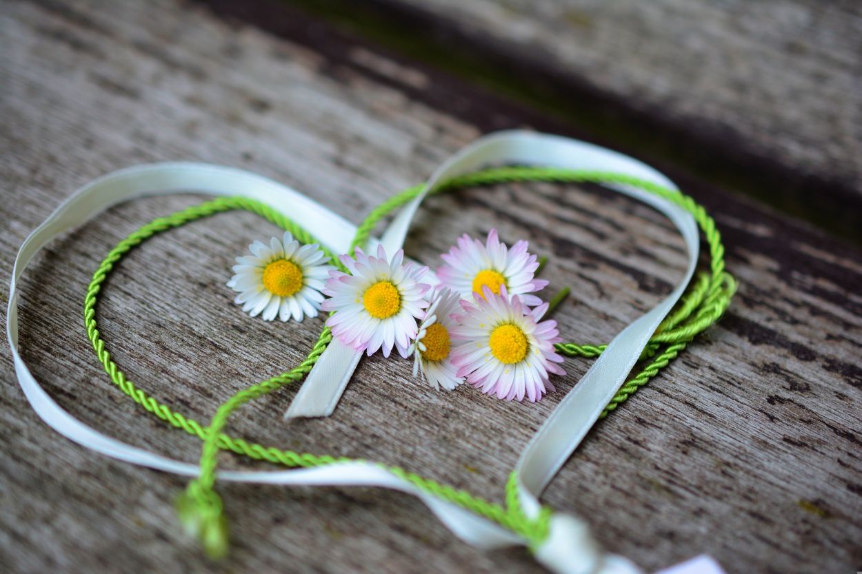 260501-congerdesign-daisy