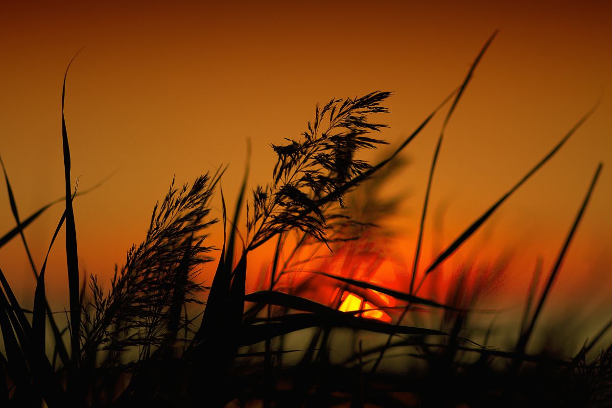 260508-poszarobert-sunset