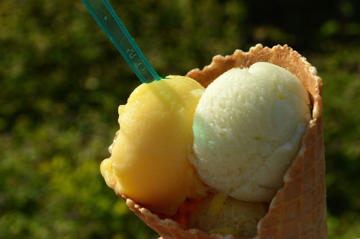 260715-viviane6276-ice