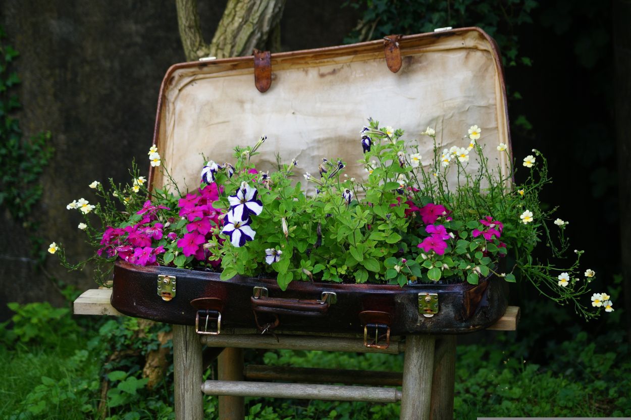 260724-suloka-suitcase