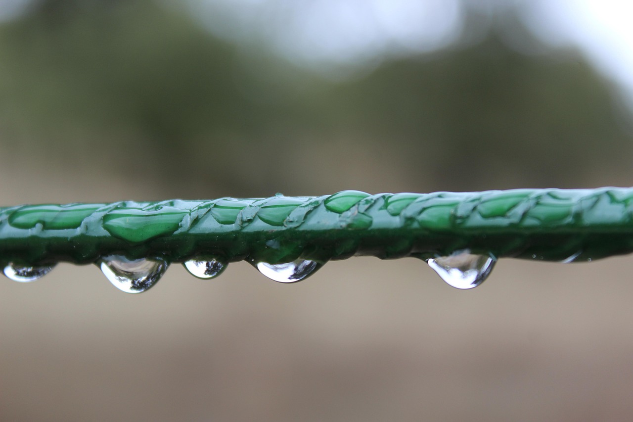 260923-josemdelaa-raindrops