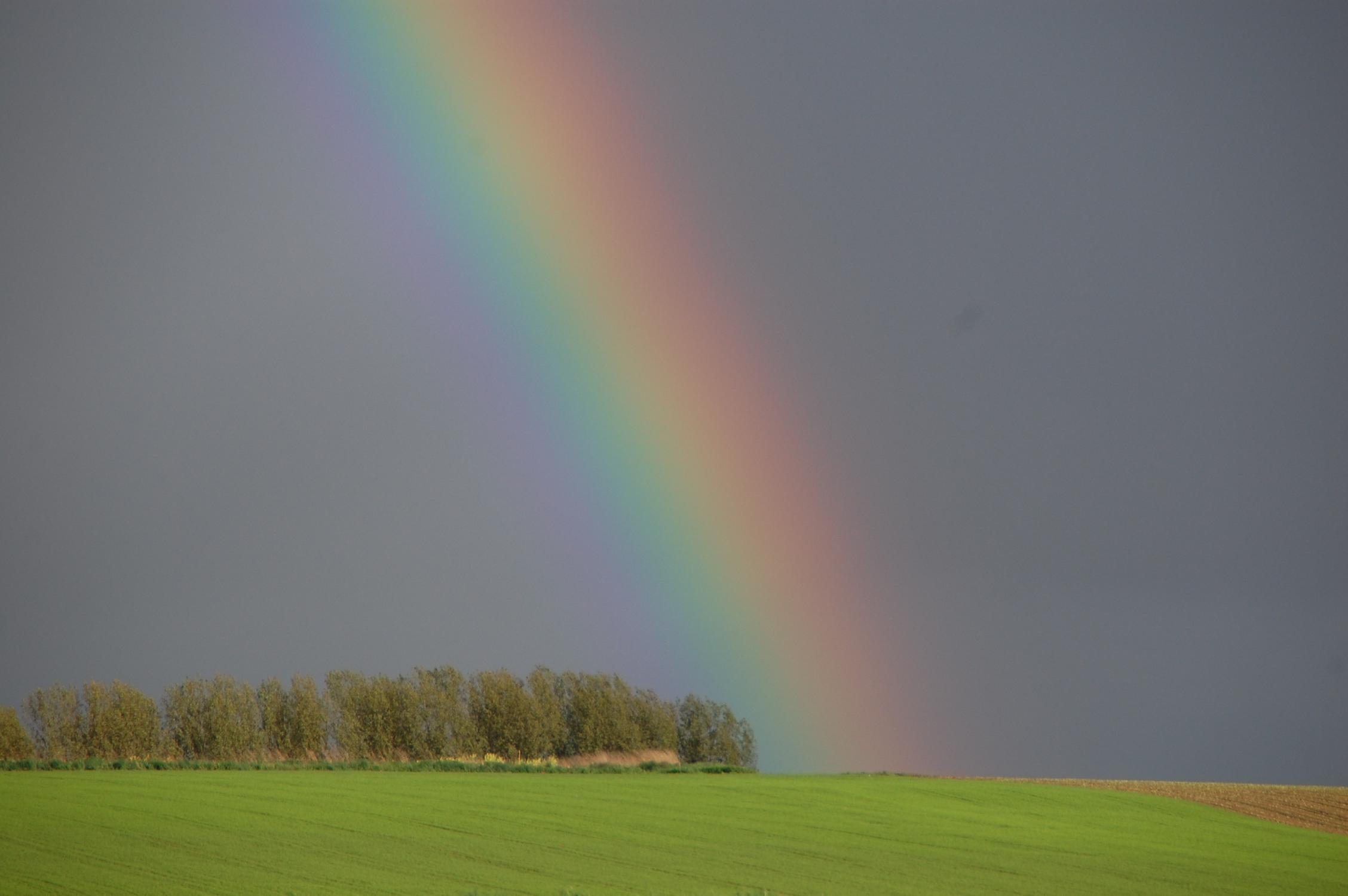 Regenbogen