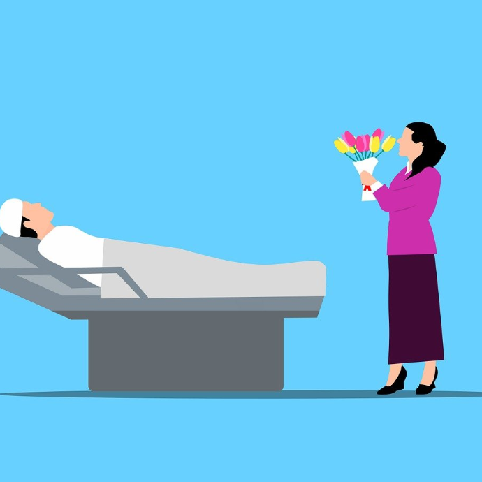 mohamed_hassan-patient-8448472_1280