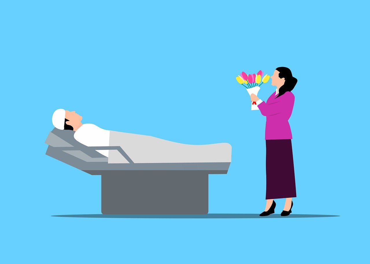 mohamed_hassan-patient-8448472_1280