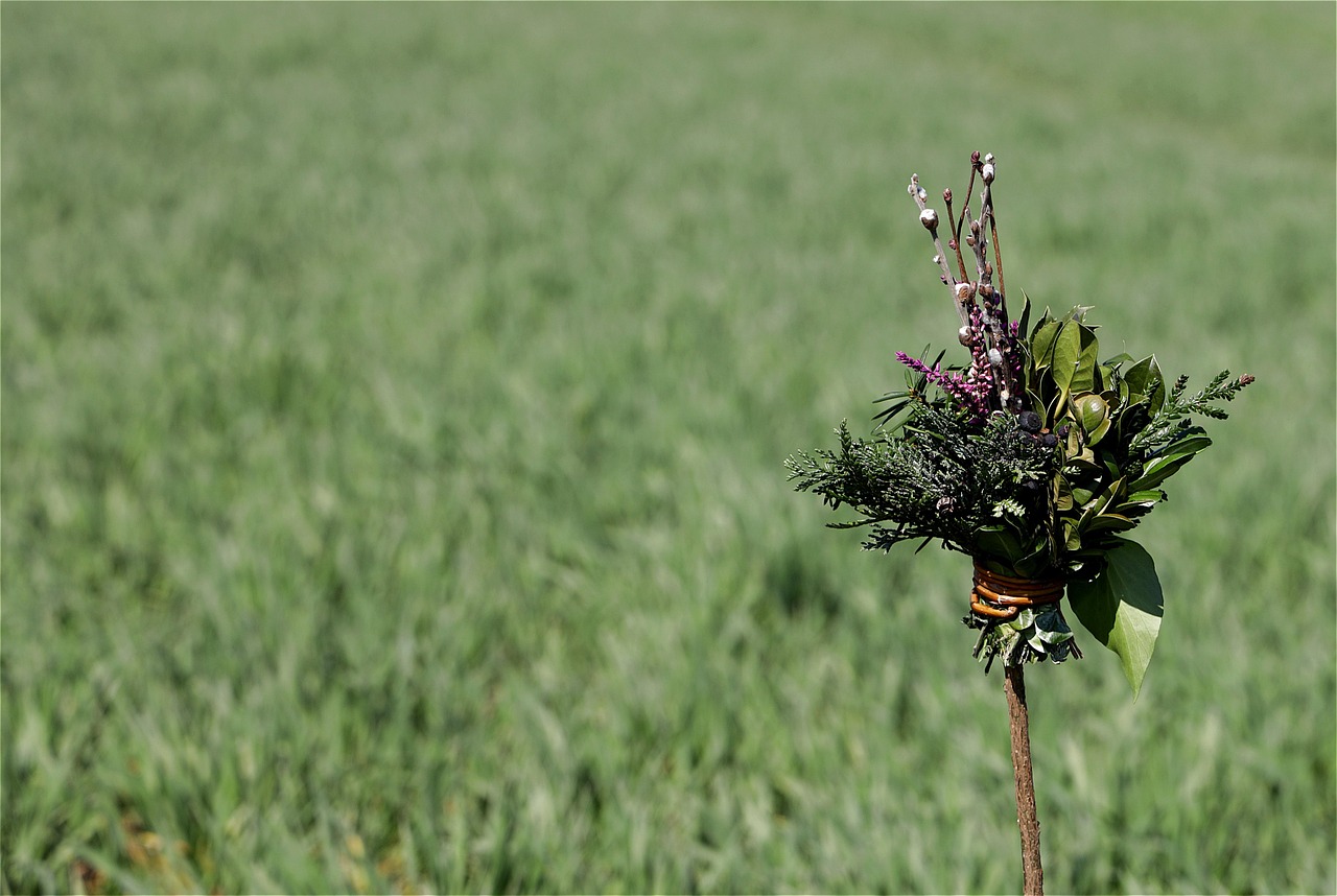 wfranz-palm-sunday-5015033_1280