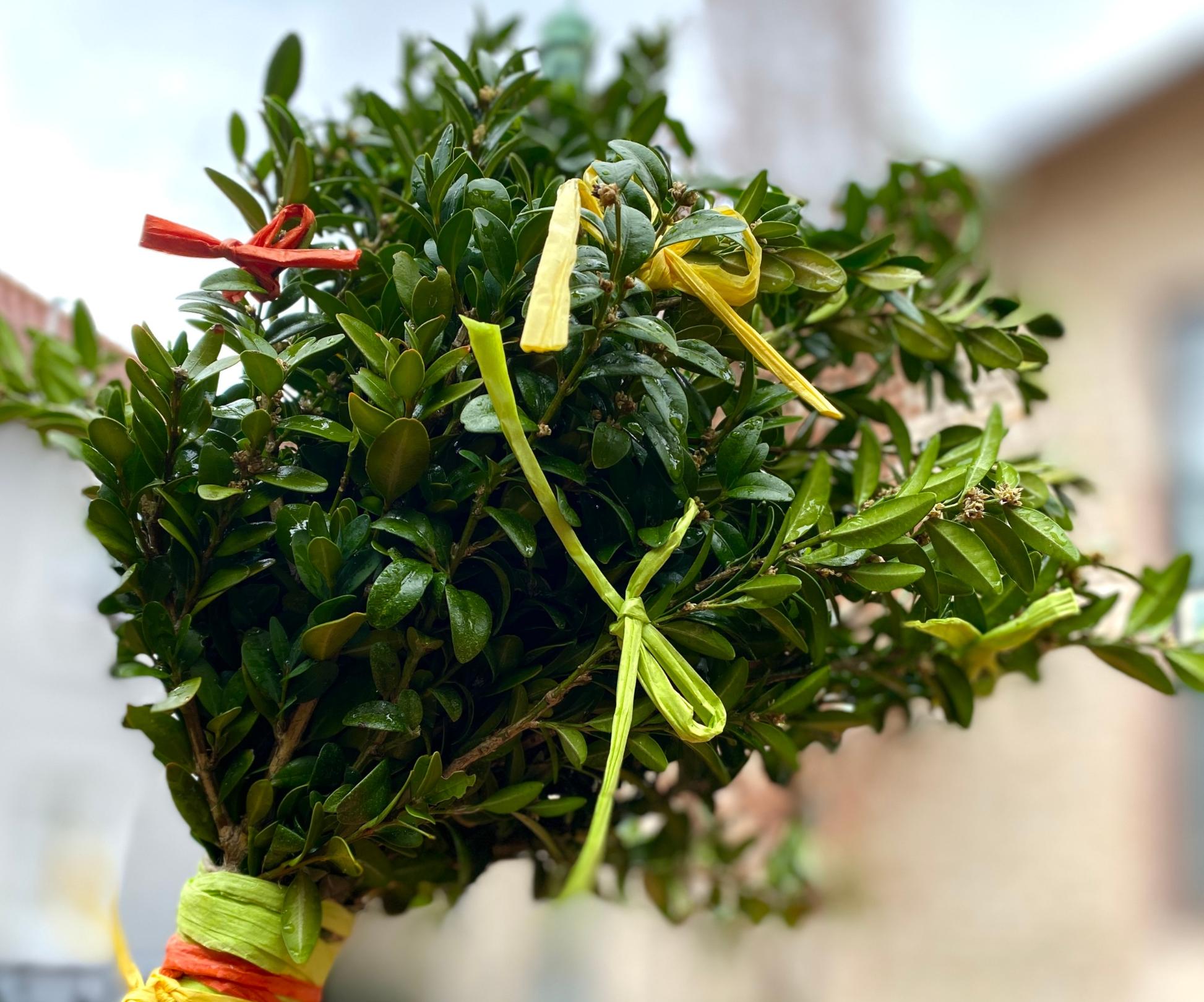 img_4618_by_Sylvio_Krueger_pfarrbriefservice