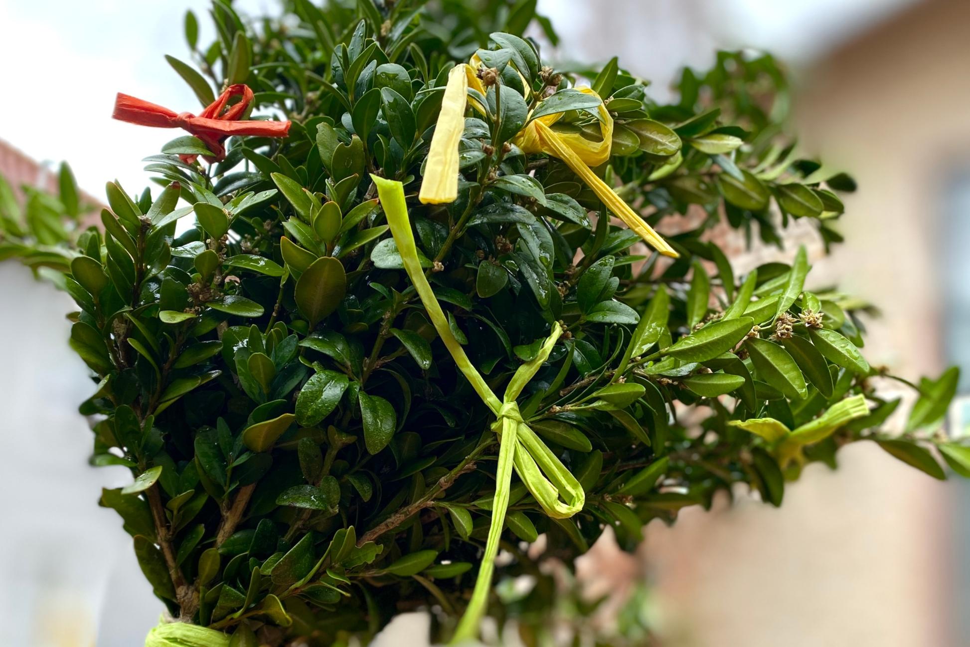 img_4618_by_Sylvio_Krueger_pfarrbriefservice