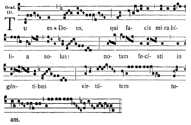 Quadratnotation Tu es deus