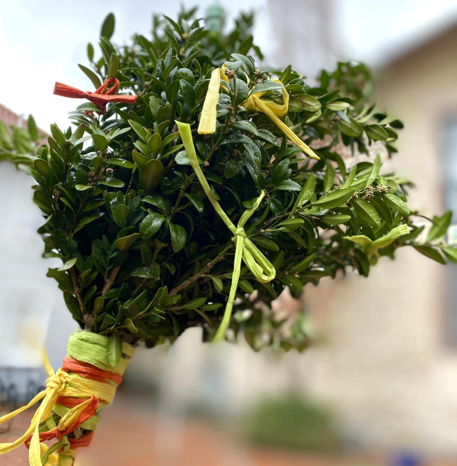 img_4618_by_Sylvio_Krueger_pfarrbriefservice