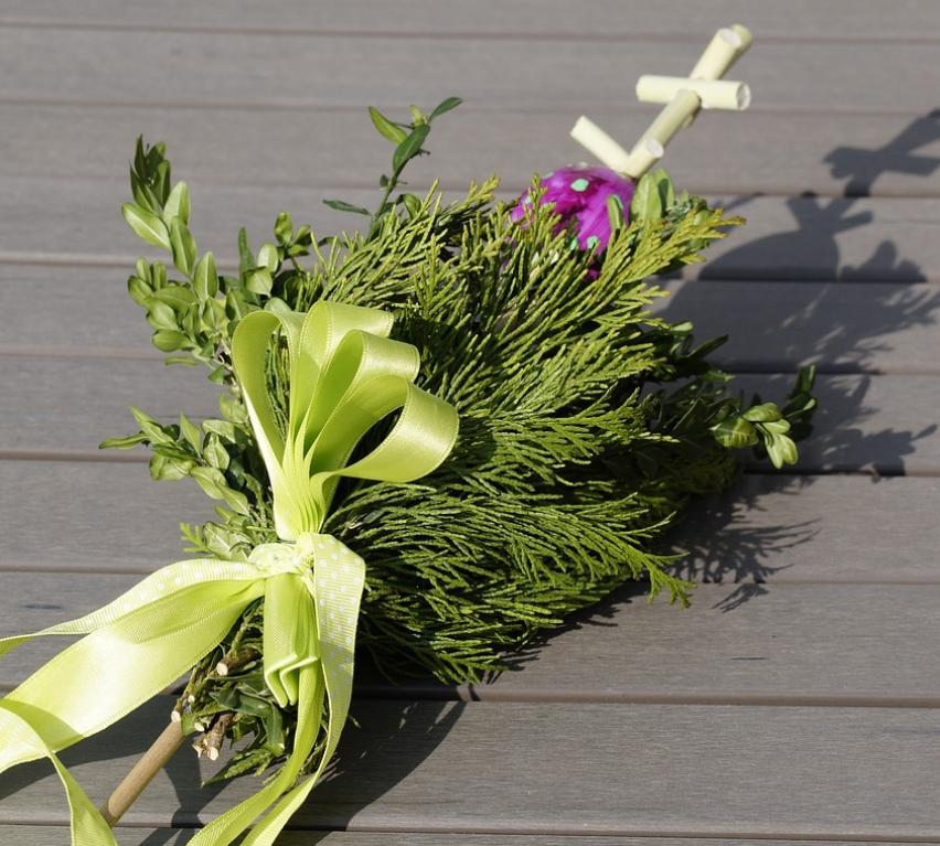 palm-trees-322232_1280