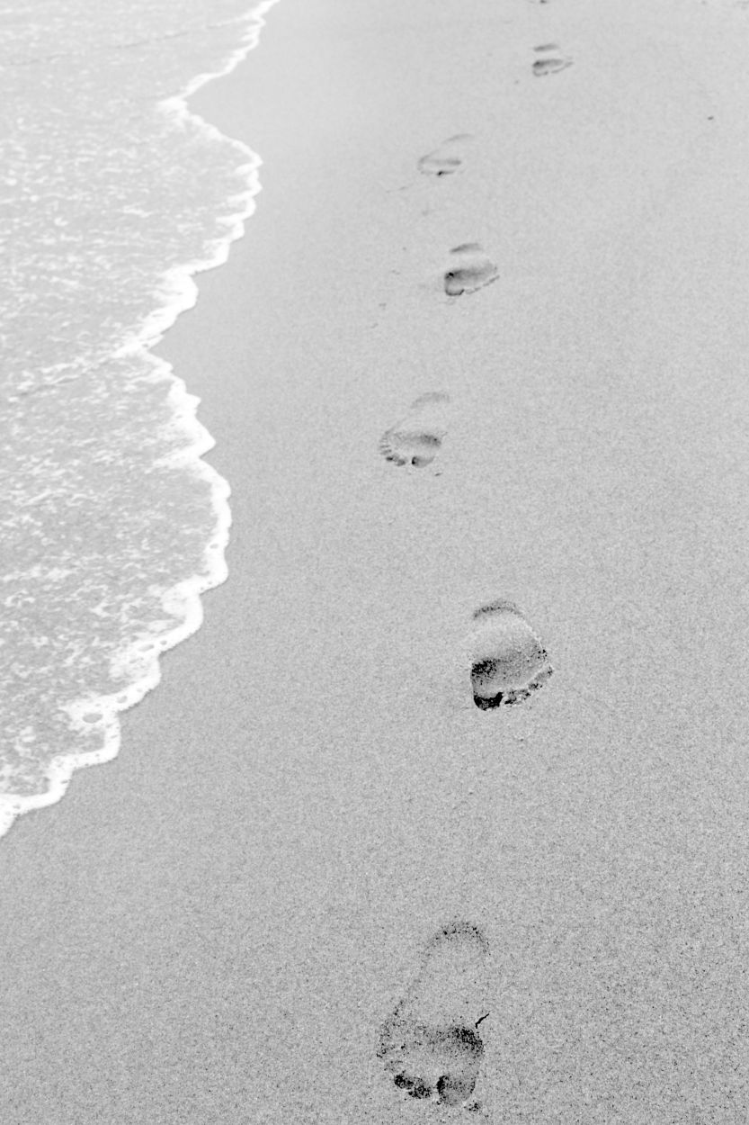 pexels-miriam-fischer-2645245