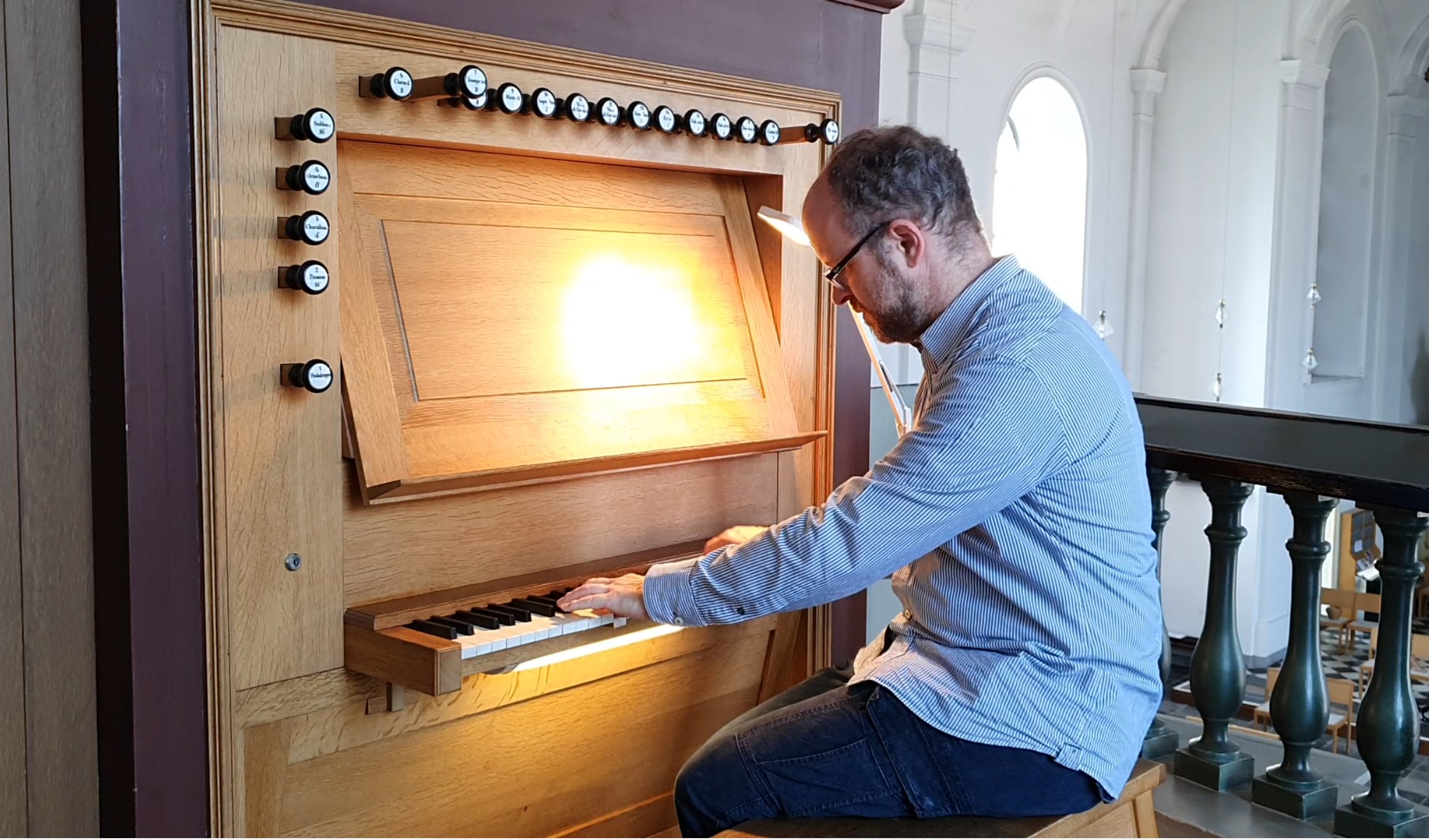 Scholly an der Orgel