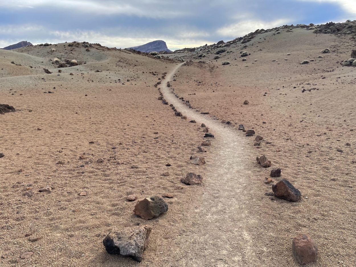 Neisy-torres-11939565